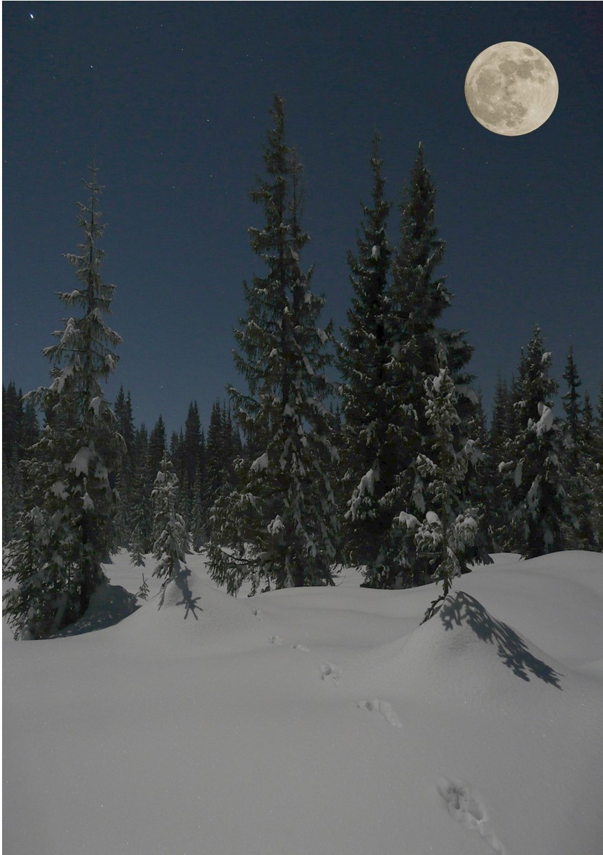 Au clair de lune