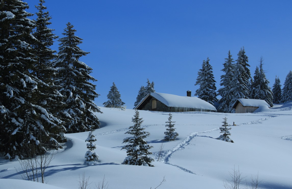 Ambiance hivernale magique