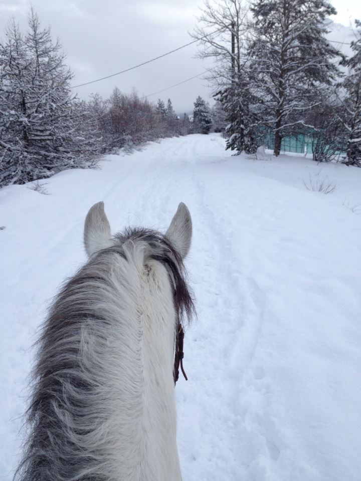 Serre Chevalier Equitation