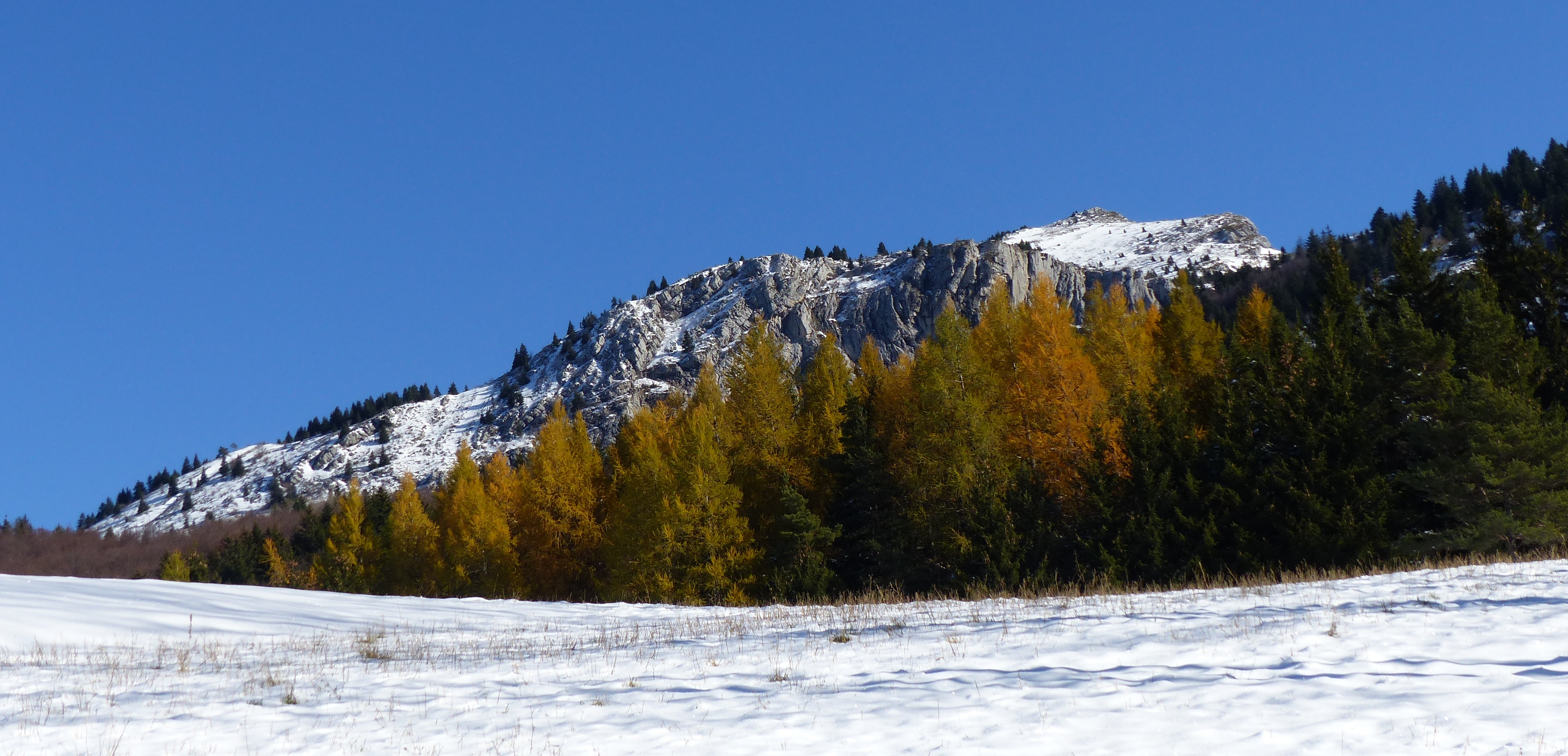 raquettes en Vercors