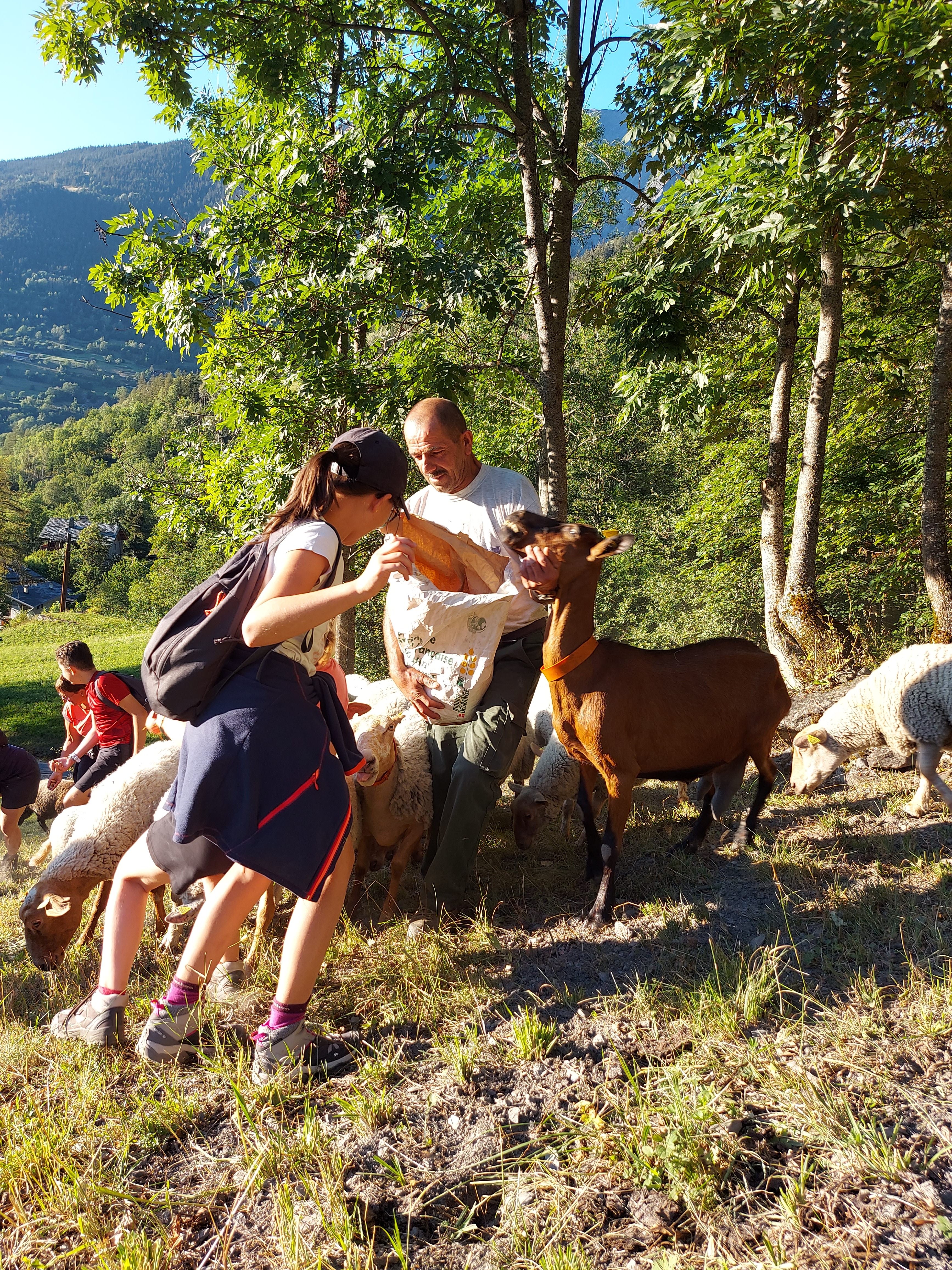 Gouter pastoral en été