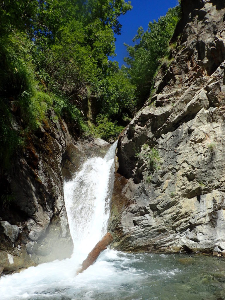 Canyon River Trip