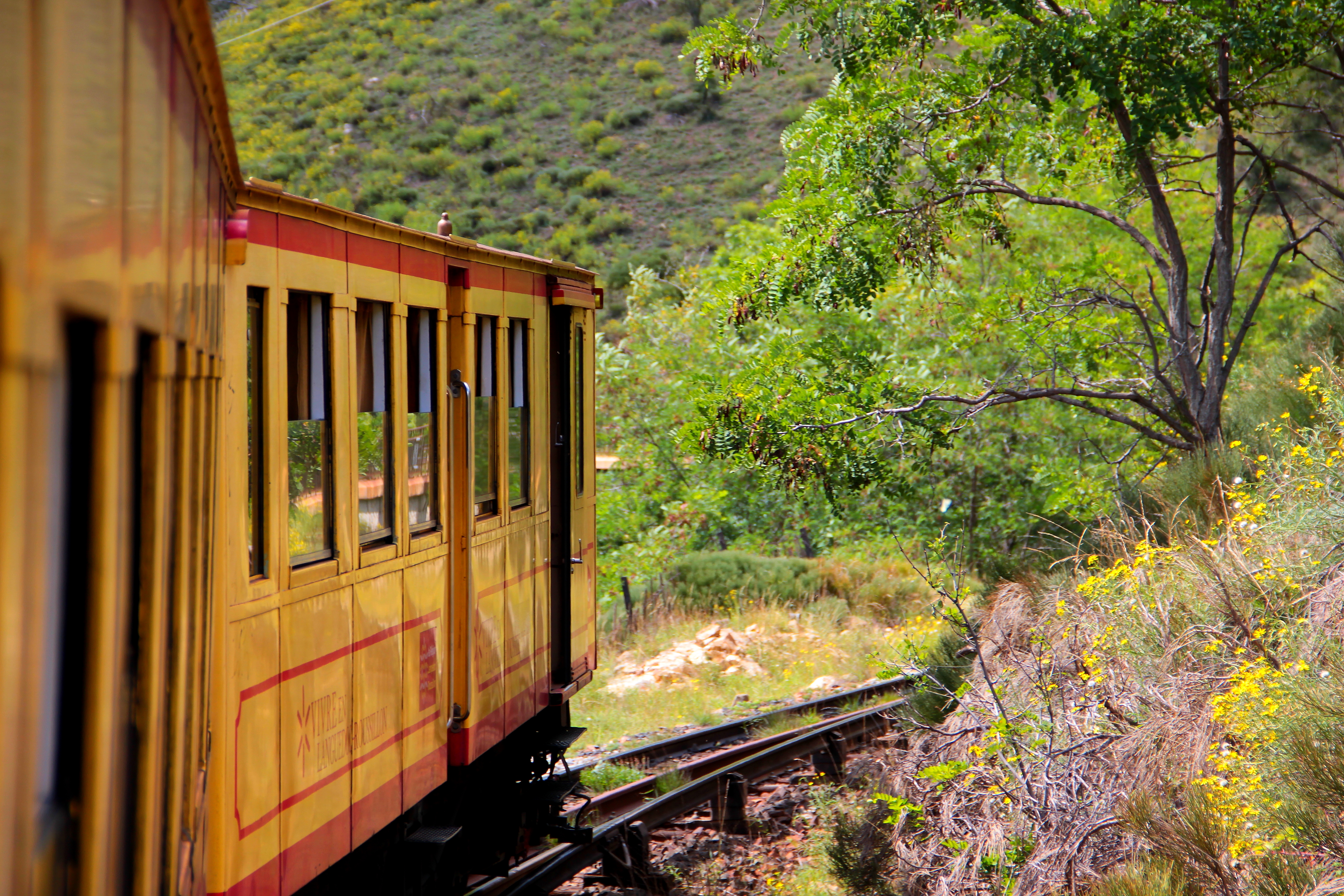 AlexandreColent Train Jaune (3)
