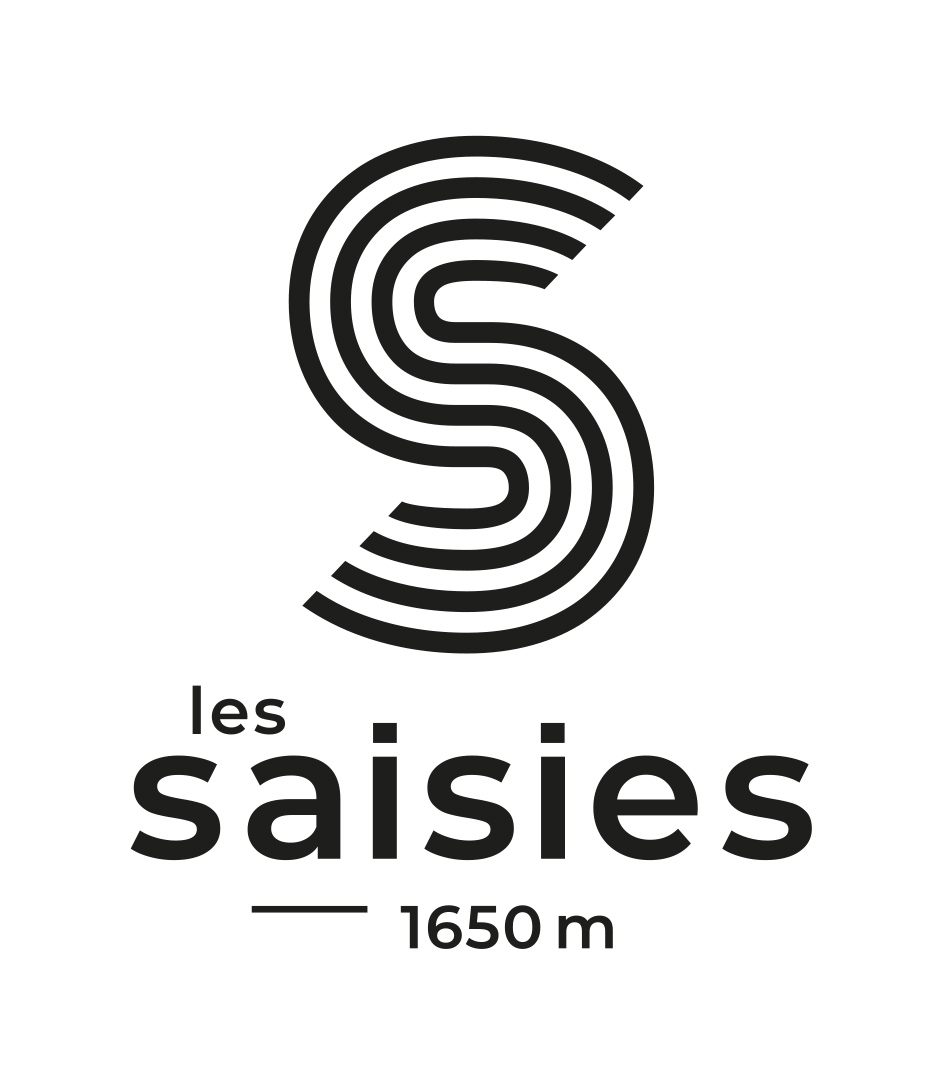 LES SAISIES