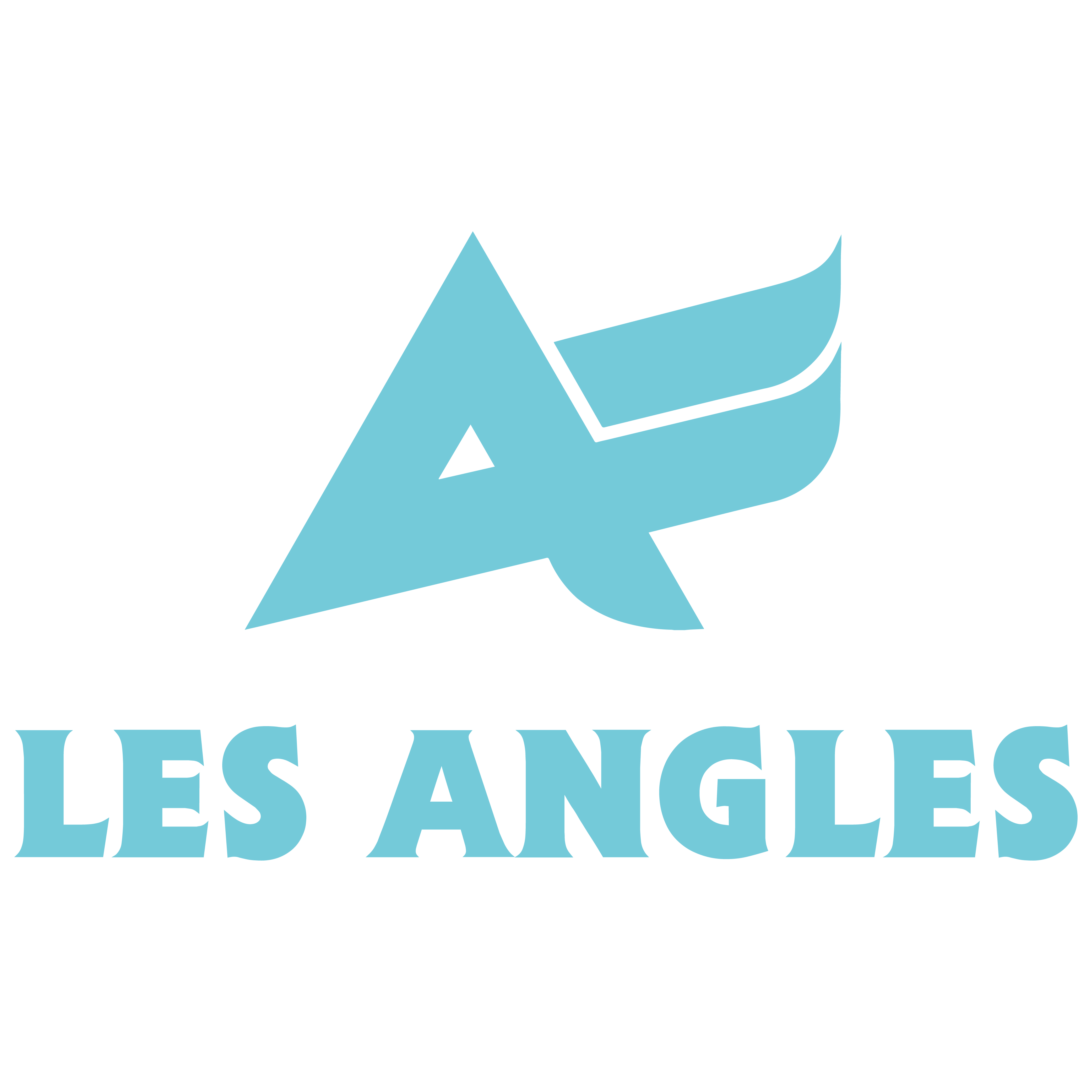 LES ANGLES