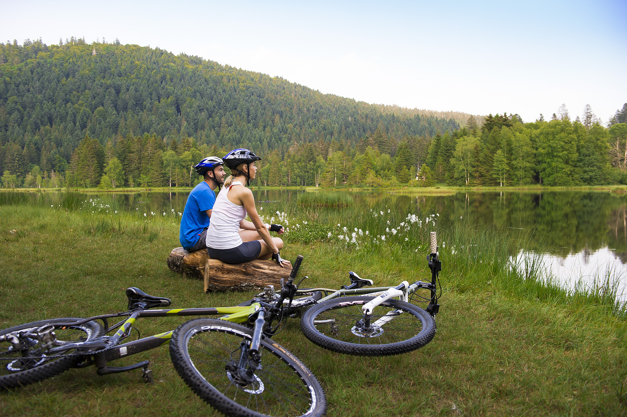 VTT 