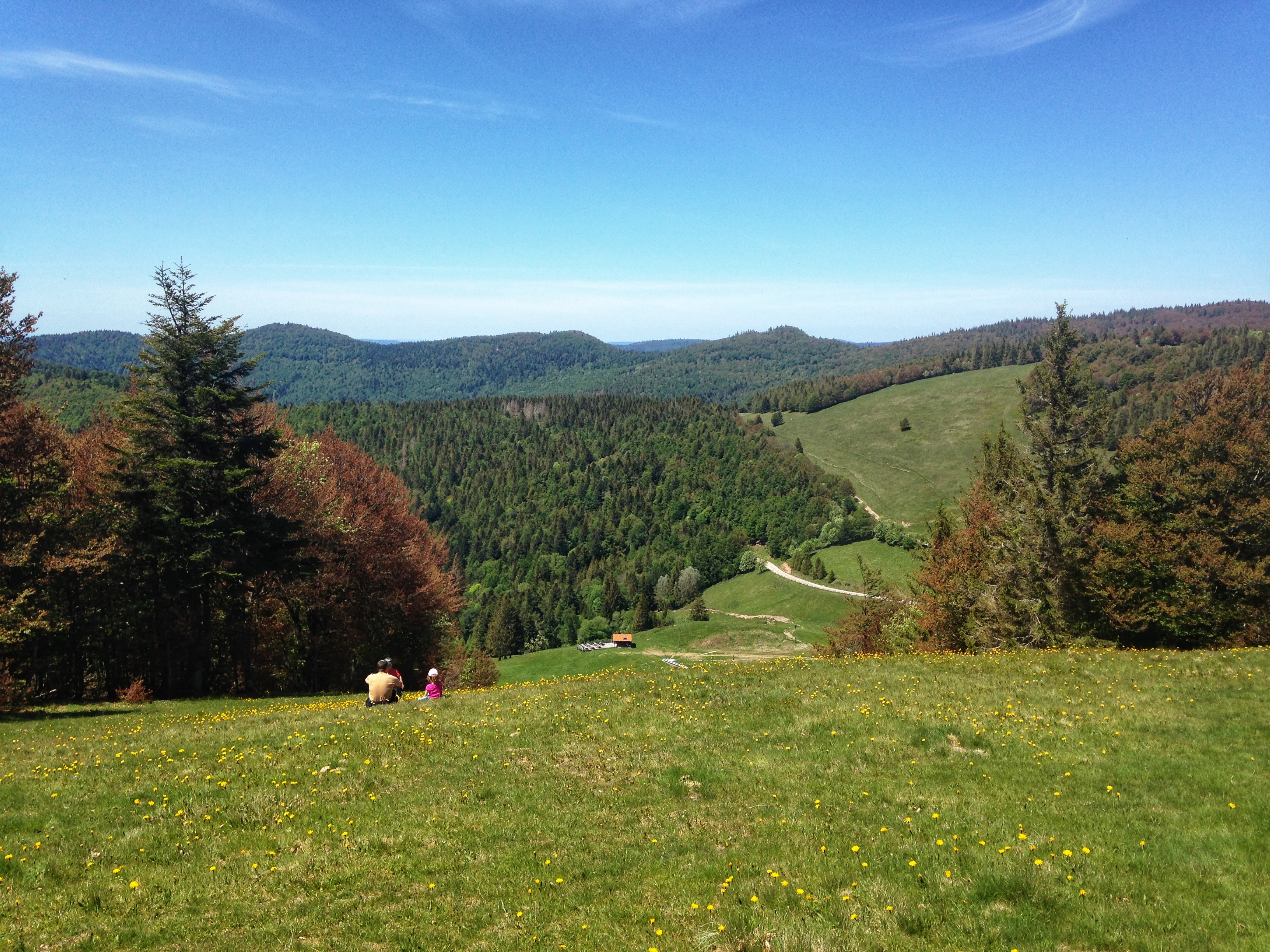 Printemps Rouge Gazon 