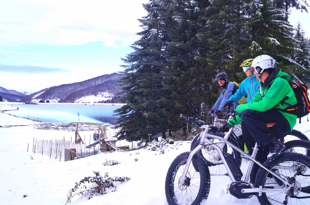 Pyrenees velo