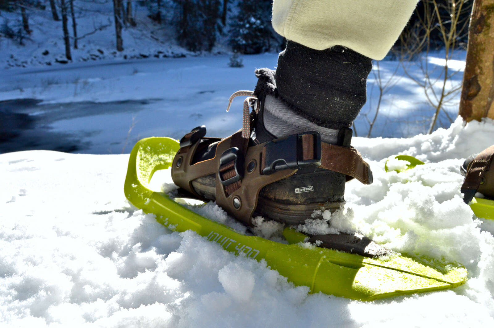 Sortie raquettes dégustation au Lac Blanc