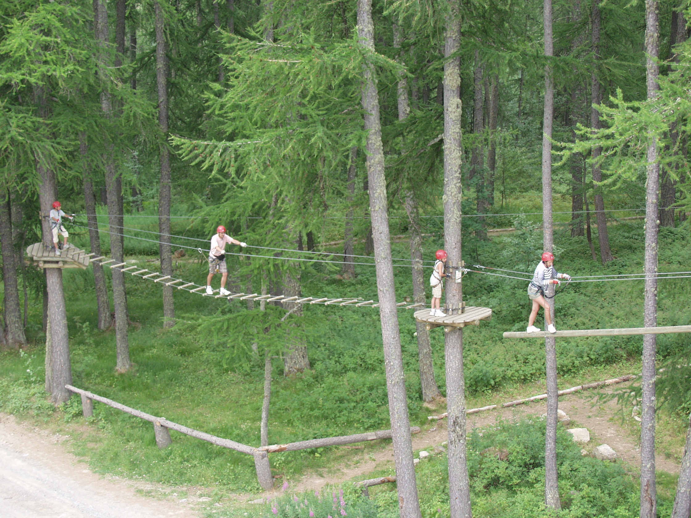ASCANMSM1V500RJ0 - Valberg - Espace Valberg Aventure 2 - Copyright OT Valberg