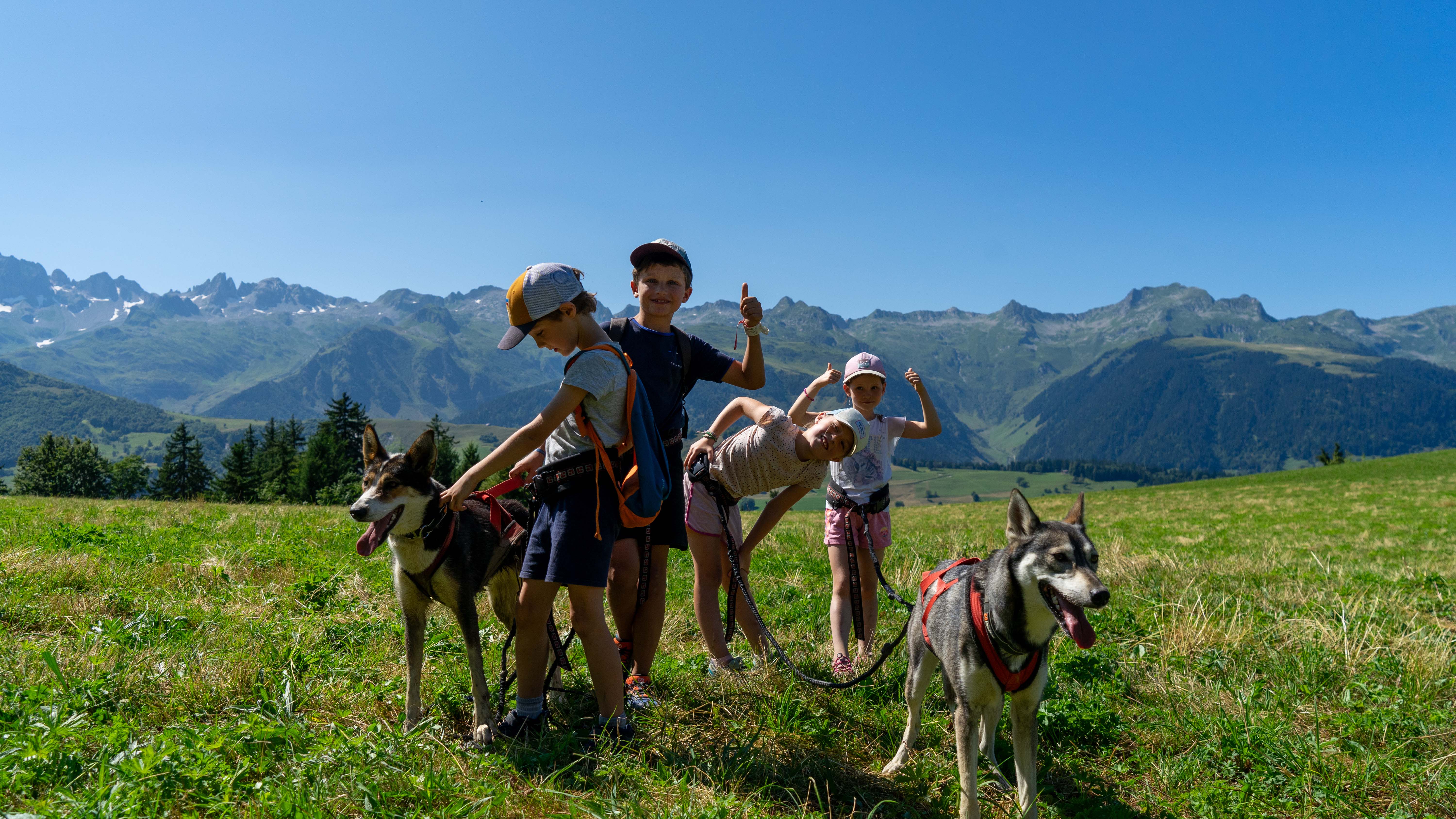Valmorel-activité Cani-Rando-HD ©Office de tourisme Valmorel (35)