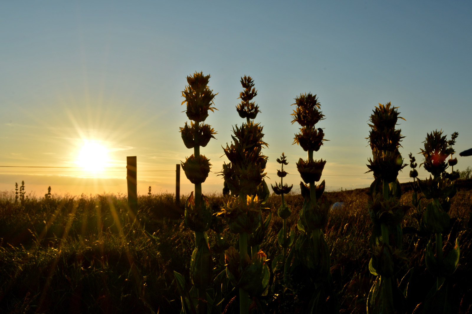 Coucher de soleil sur les crêtes