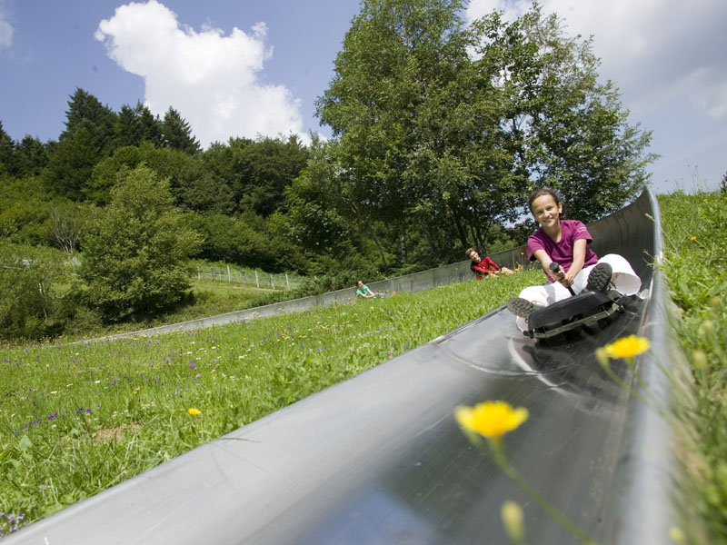 luge_ete