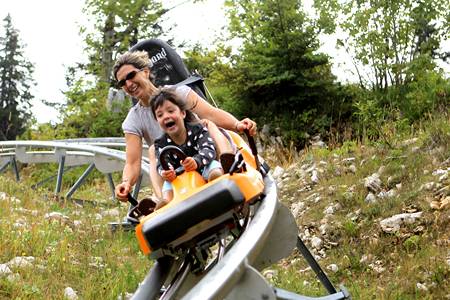 luge_web