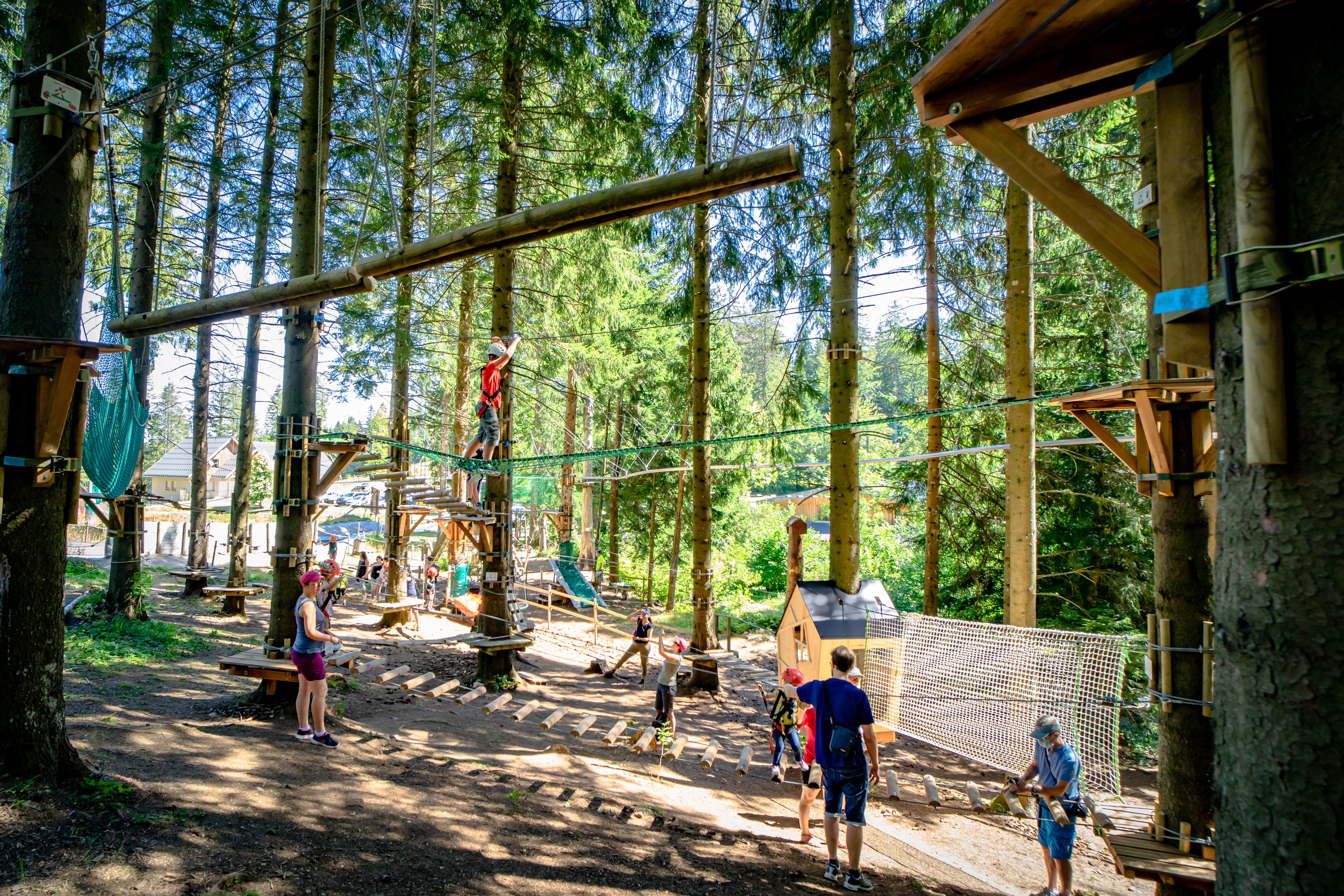 Foret ludique