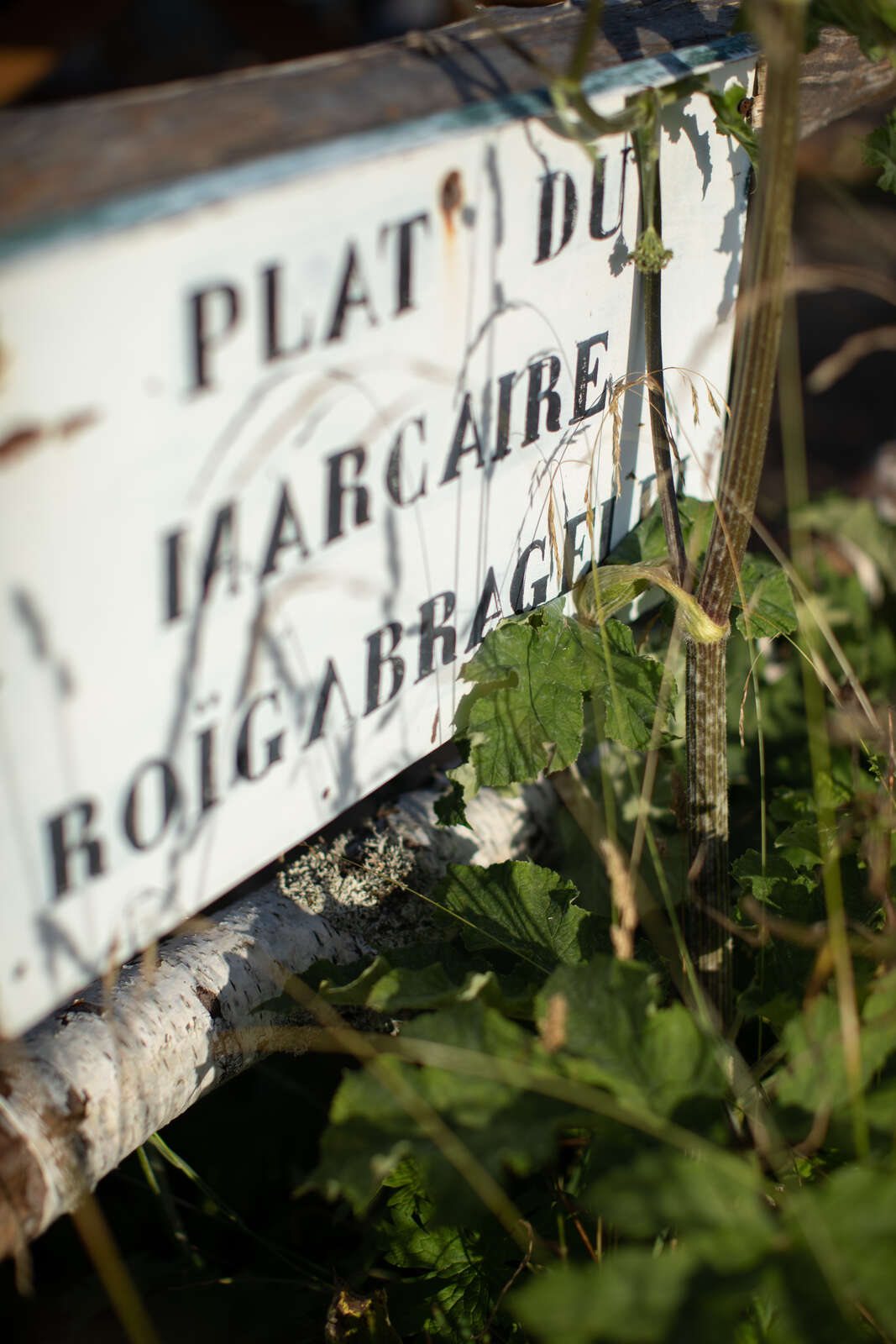 Repas marcaire